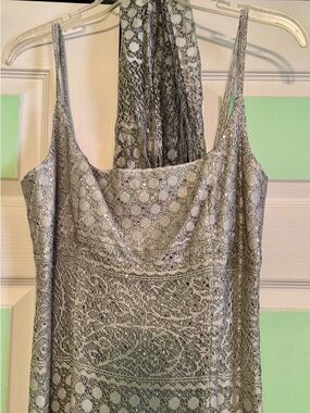 Betsy & Adam Silver-Beige Lace Evening Dress